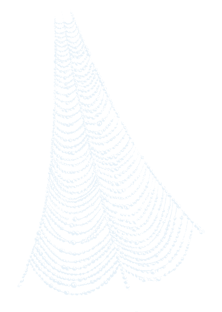 A sector of an orb web strung with dew, every thread a line of bright beads against black. Engraving.