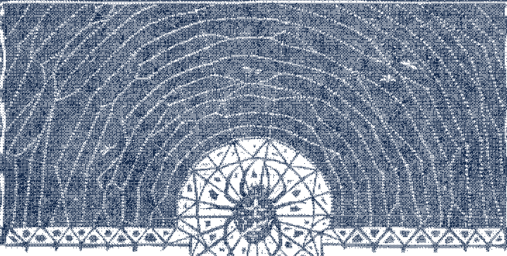 A decorative title band: a cross spider at the hub of a half-wheel web, threads radiating across a dark field. Woodcut.