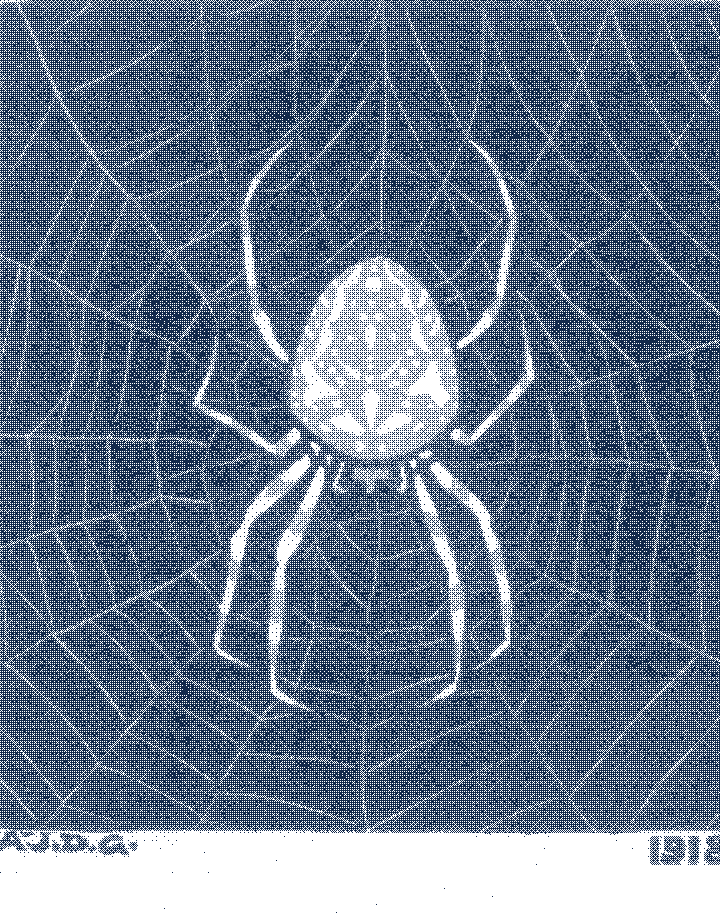 A cross spider seen from above, sitting in the middle of its web; the threads cut white out of black. Woodcut.