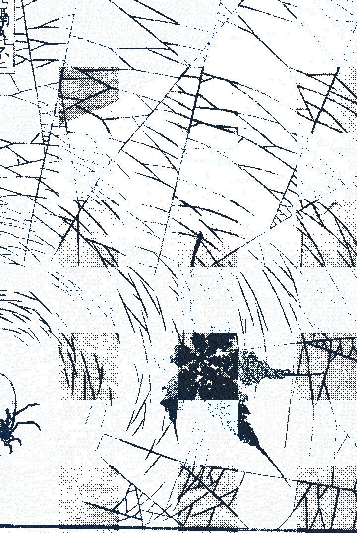 Mount Fuji seen through a spider web strung across the foreground, a spider waiting below. Woodblock print.