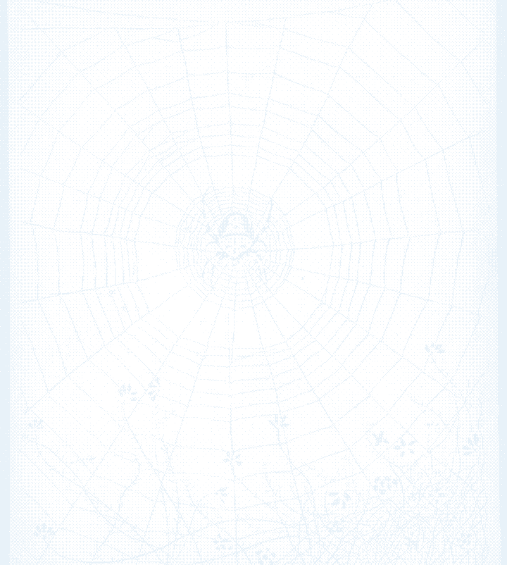 A garden spider at the centre of its orb web, every radial thread and spiral lit white against black. Wood engraving.